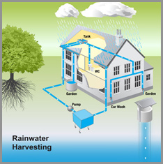 Rain Water Harvesting System